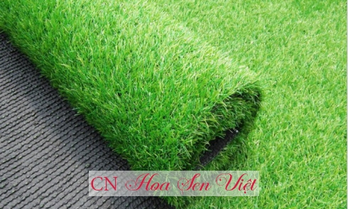 Phân phổi sỉ và lẻ cỏ nhân tạo tại Huế- Nhà cung cấp chuyên nghiệp