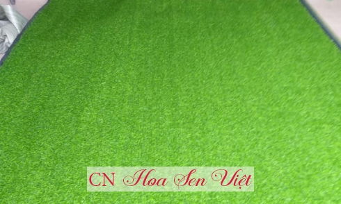 Giá cỏ nhân tạo tại Đà Nẵng - Địa chỉ bán cỏ nhân tạo tại Đà Nẵng giá rẻ