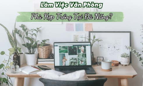 Cây Cảnh Mini Để Bàn Phù Hợp Cho Dân Văn Phòng tại Đà Nẵng