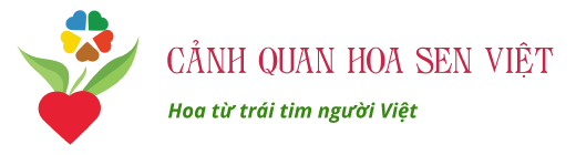 Hoa Sen Việt | Cây Cảnh Đà Nẵng