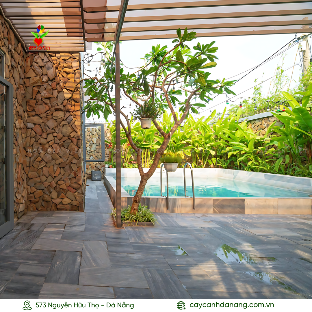 Thiết kế sân vườn có hồ bơi Đà Nẵng với hàng cây xanh tươi dọc hồ bơi