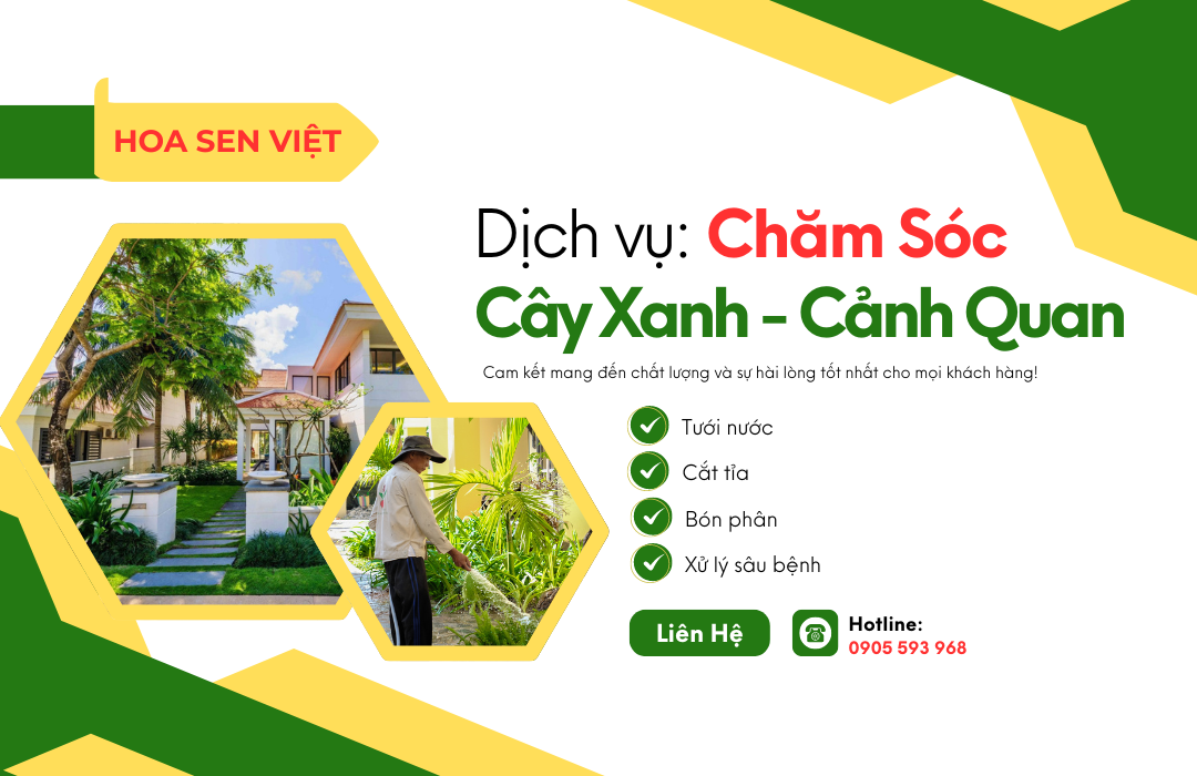 dich vụ cham soc cay xanh canh quan hoasenviet