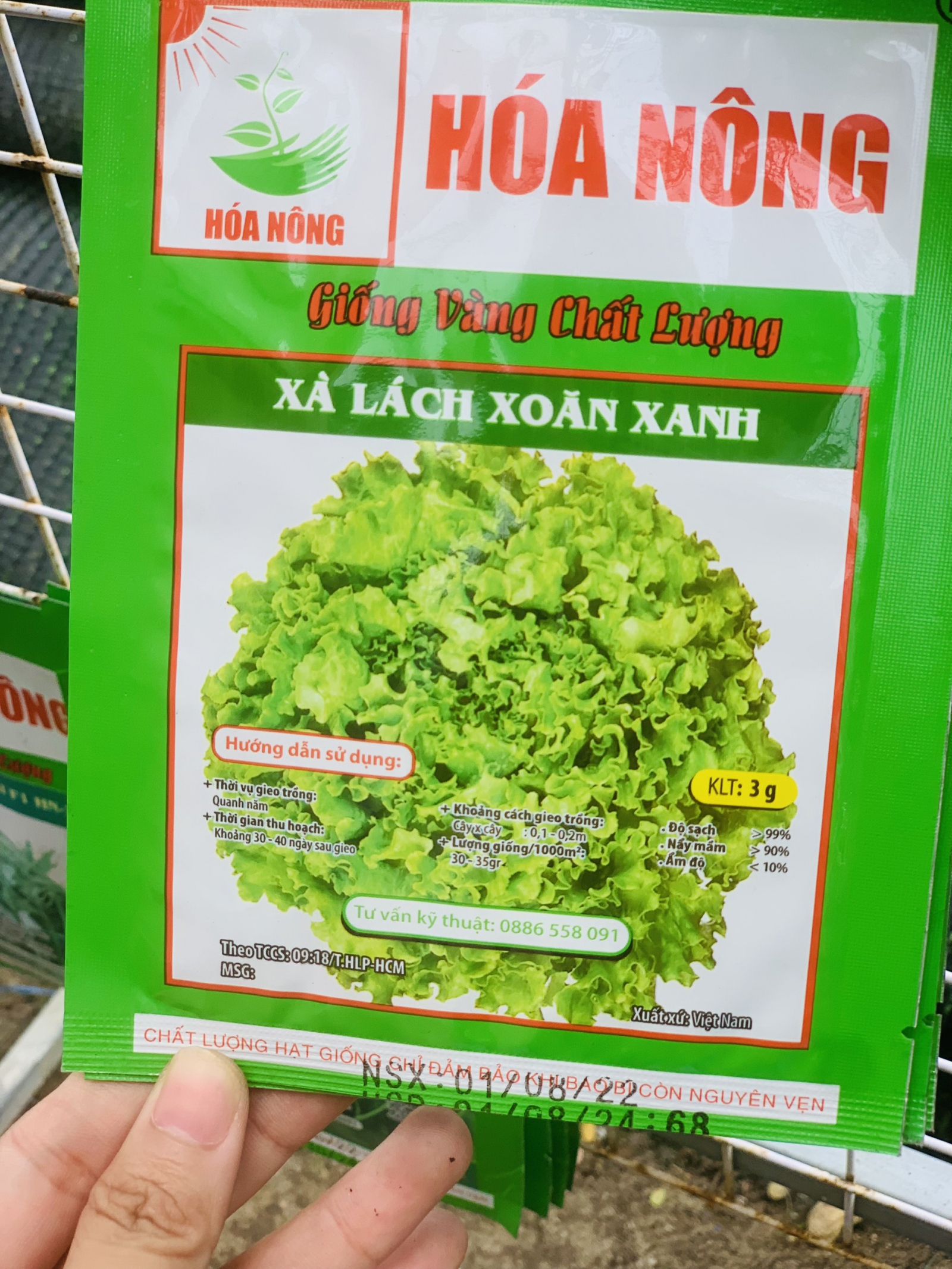 Hạt giống xà lach xoăn xanh - Vật tư nông nghiệp Hoa Sen Việt