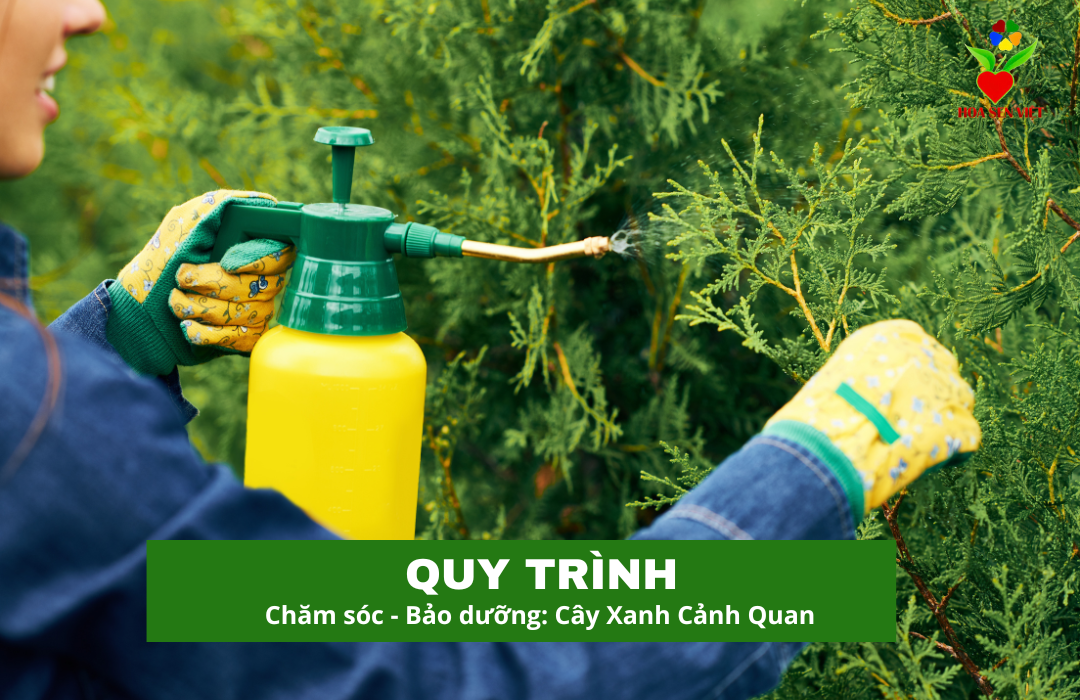 quy trinh cham soc cay xanh canh quan da nang