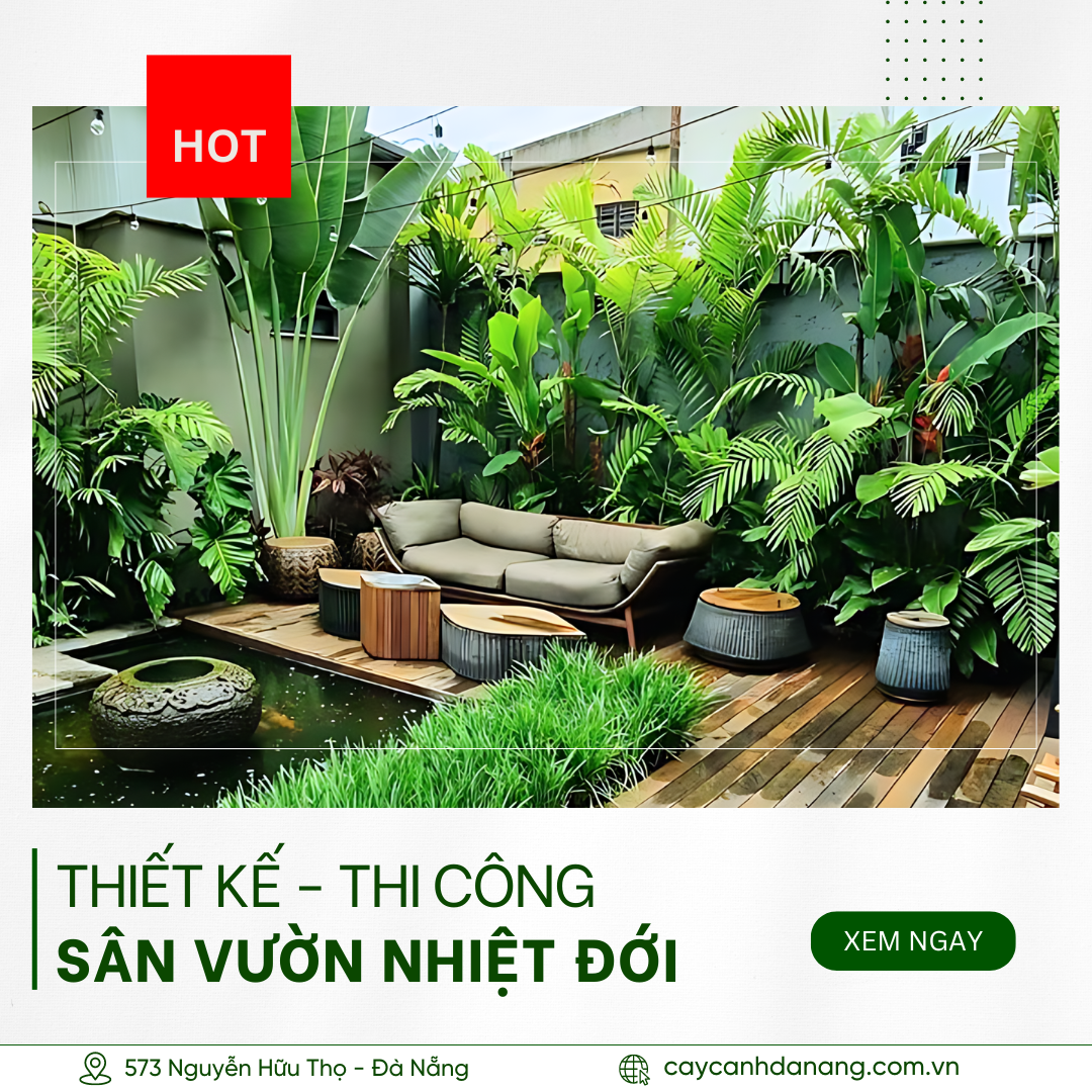 Thiết kế và thi công sân vườn nhiệt đới Đà Nẵng