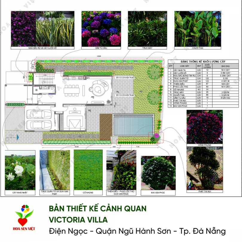 Thiết kế thi công sân vườn Villa