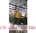 Hoa địa lan - Cung cấp, trồng và chăm sóc Hoa địa lan Đà Nẵng