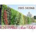 Vườn tường đứng Đà Nẵng- Cung cấp thiết bị làm vườn tường Đà Nẵng