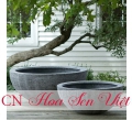  Chậu trồng cây- chậu trồng rau- chậu trồng cây bonsai- chậu xi măng- chậu composite tại Đà Nẵng