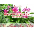 Hoa chu đinh lan - Giá bán, cách trồng và chăm sóc cây chu đinh lan