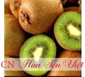 Cây kiwi - Giá bán, cách trồng và chăm sóc cây kiwi