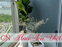Chậu trồng cây composite Đà Nẵng