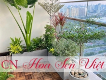 Chậu trồng cây composite Đà Nẵng