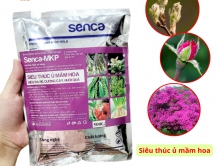 Phân bón Senca MKP ( Siêu thúc ủ mầm hoa )