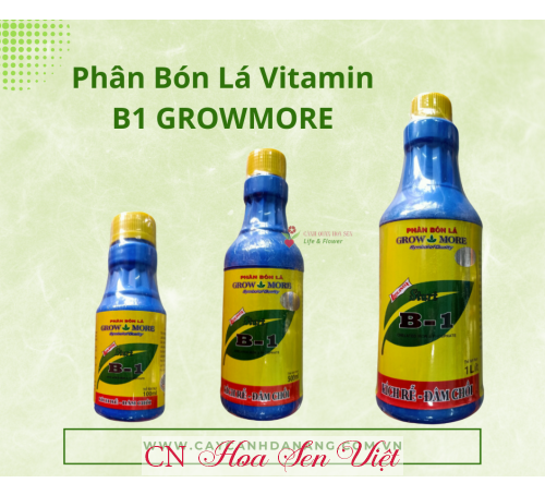 Phân Bón Lá Vitamin B1 GROWMORE