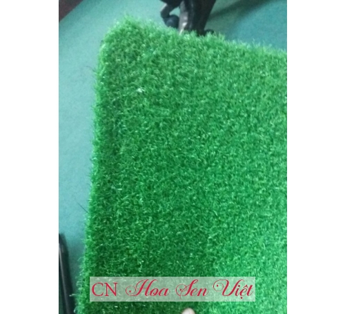 Cung cấp cỏ nhân tạo tại Đà Nẵng- Thi công cỏ nhân tạo Đà Năng- Cơ sở Hoa Sen