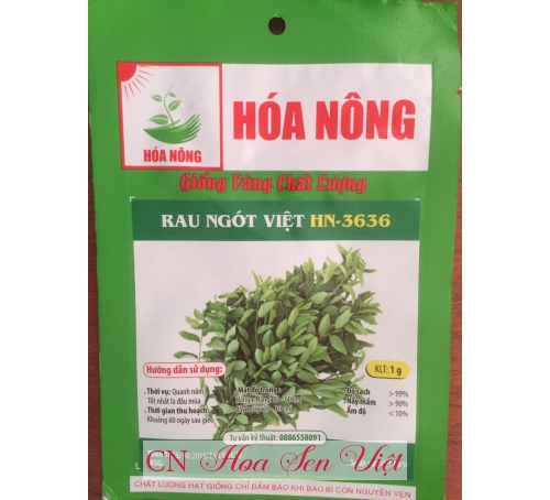 Hạt giống rau ngót Việt