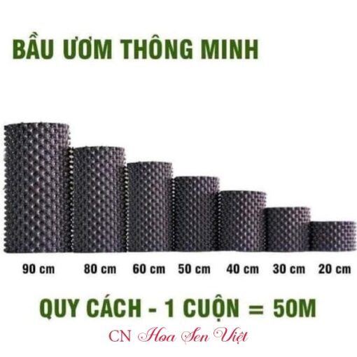 Tam Nhua Bo Bau Cay Hoasenviet 8