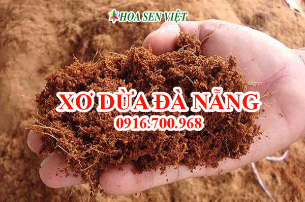 Xơ dừa Đà Nẵng - Công dụng xơ dừa, giá bán và địa chỉ bán xơ dừa Đà Nẵng