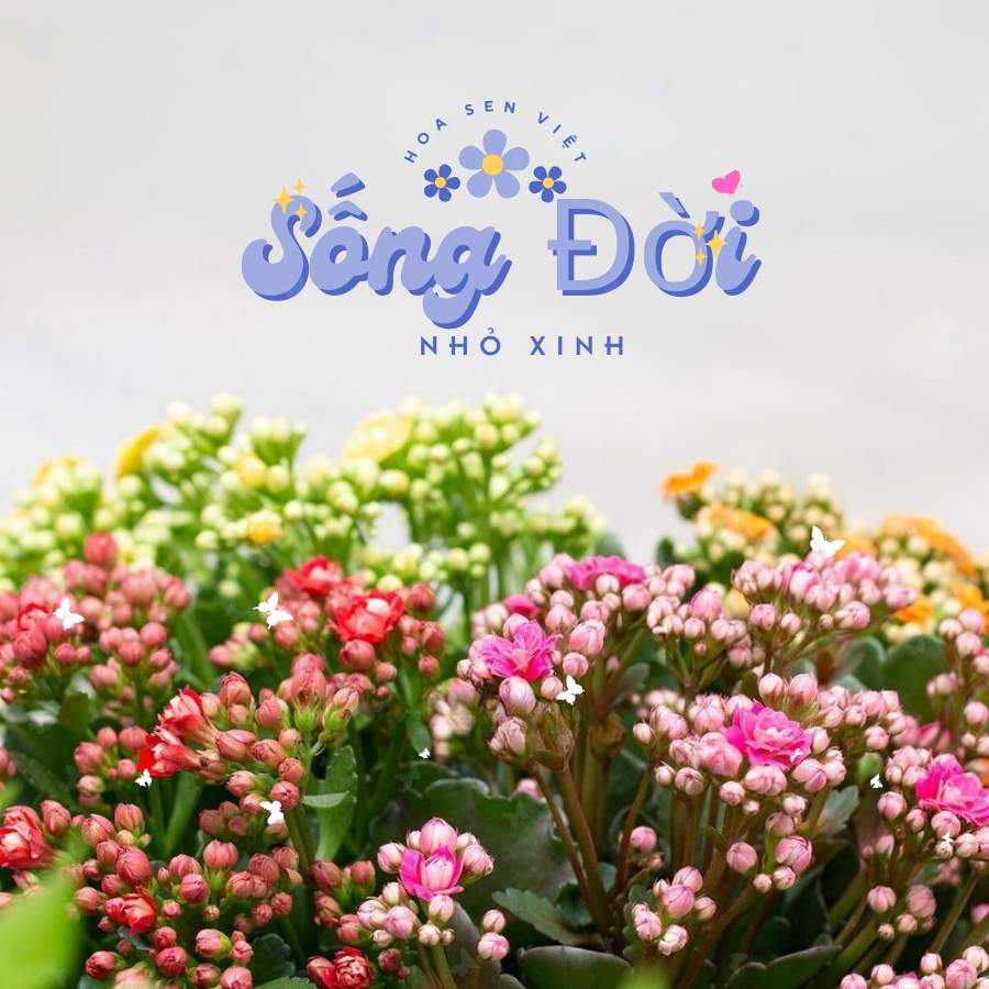 Sống Đời