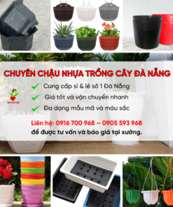 Chậu Nhựa Trồng Cây