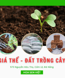 Giá thể - Đất trồng cây