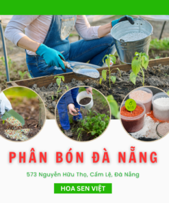 Phân bón