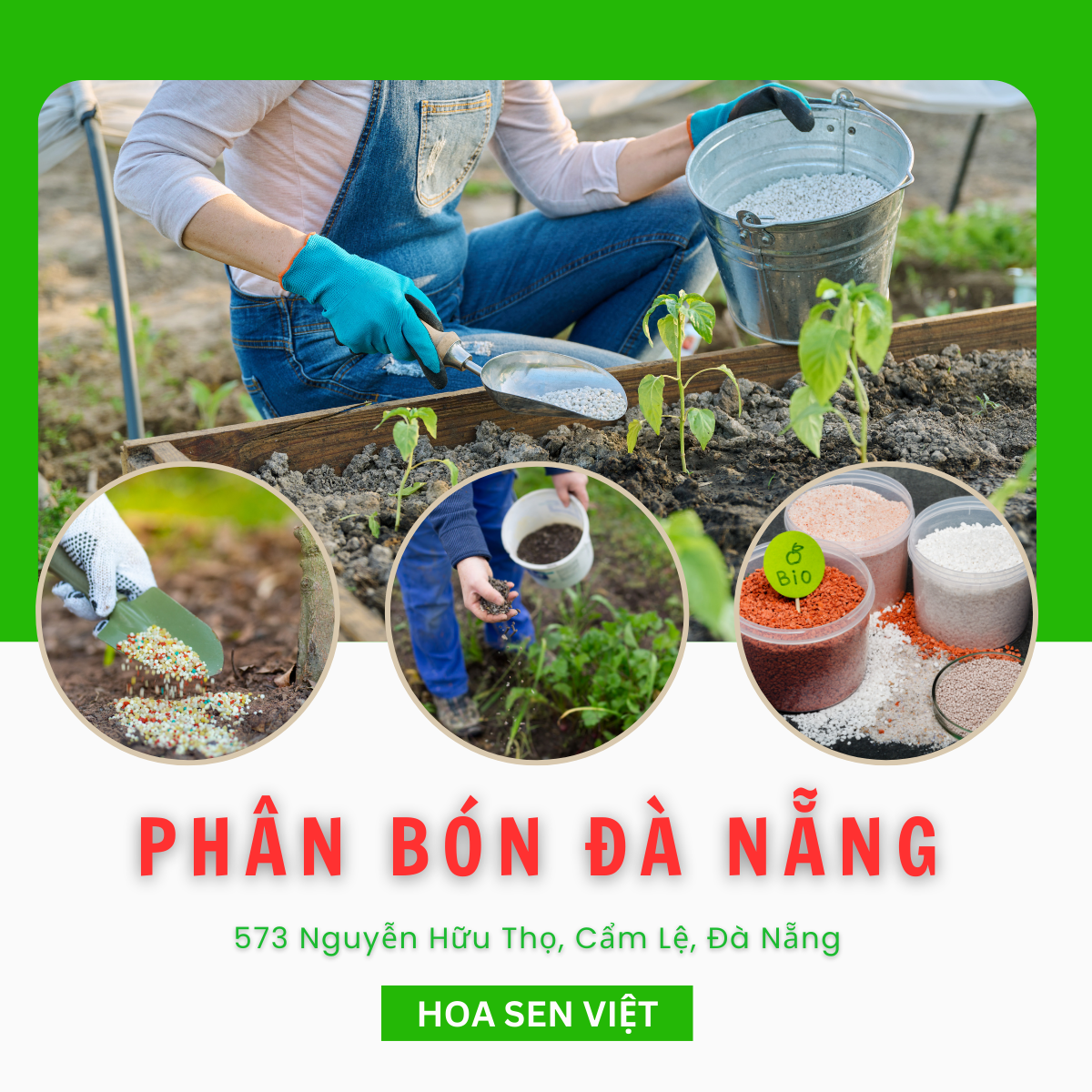 phan bon da nang hoasenviet