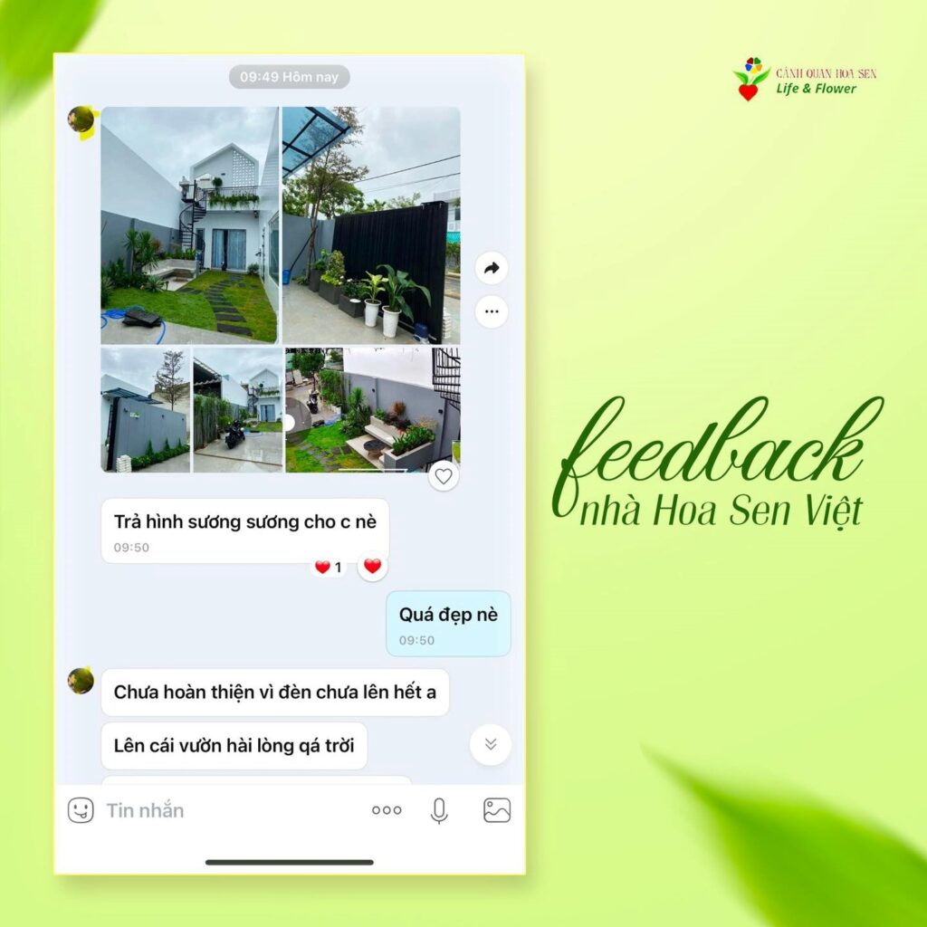 Cây Cảnh Đà Nẵng – Hoa Sen Việt