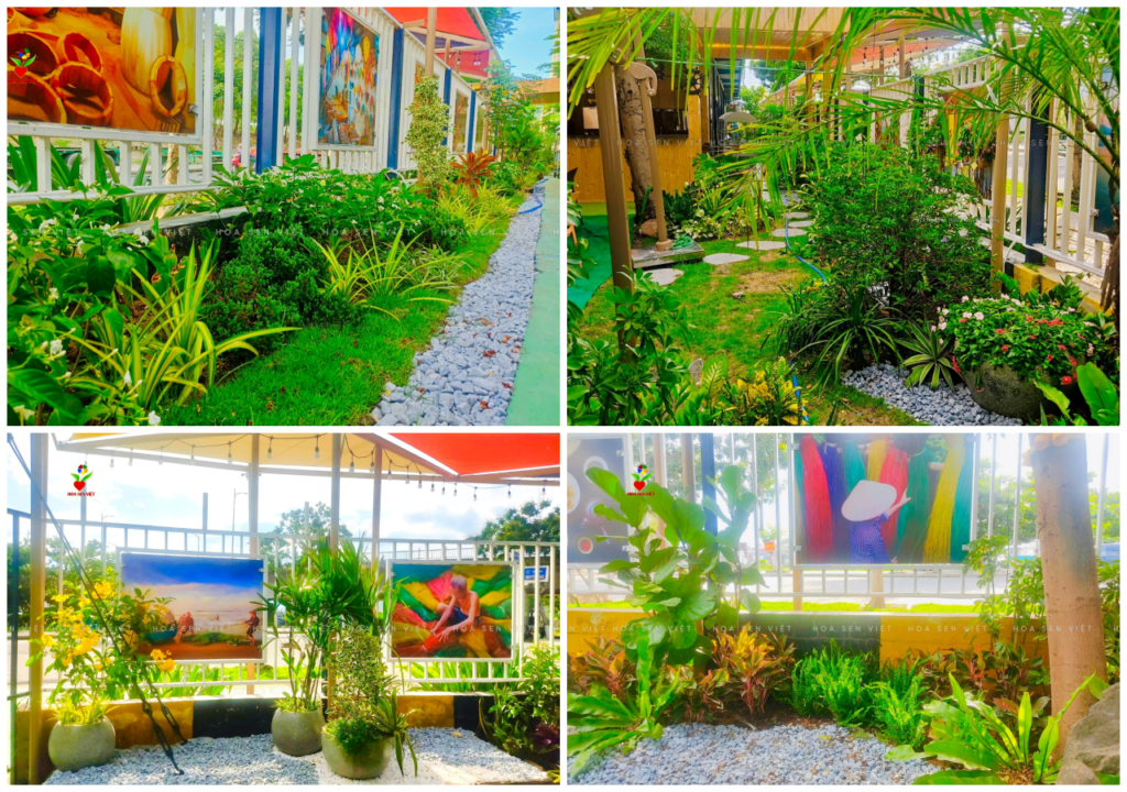 Cây Cảnh Đà Nẵng – Hoa Sen Việt
