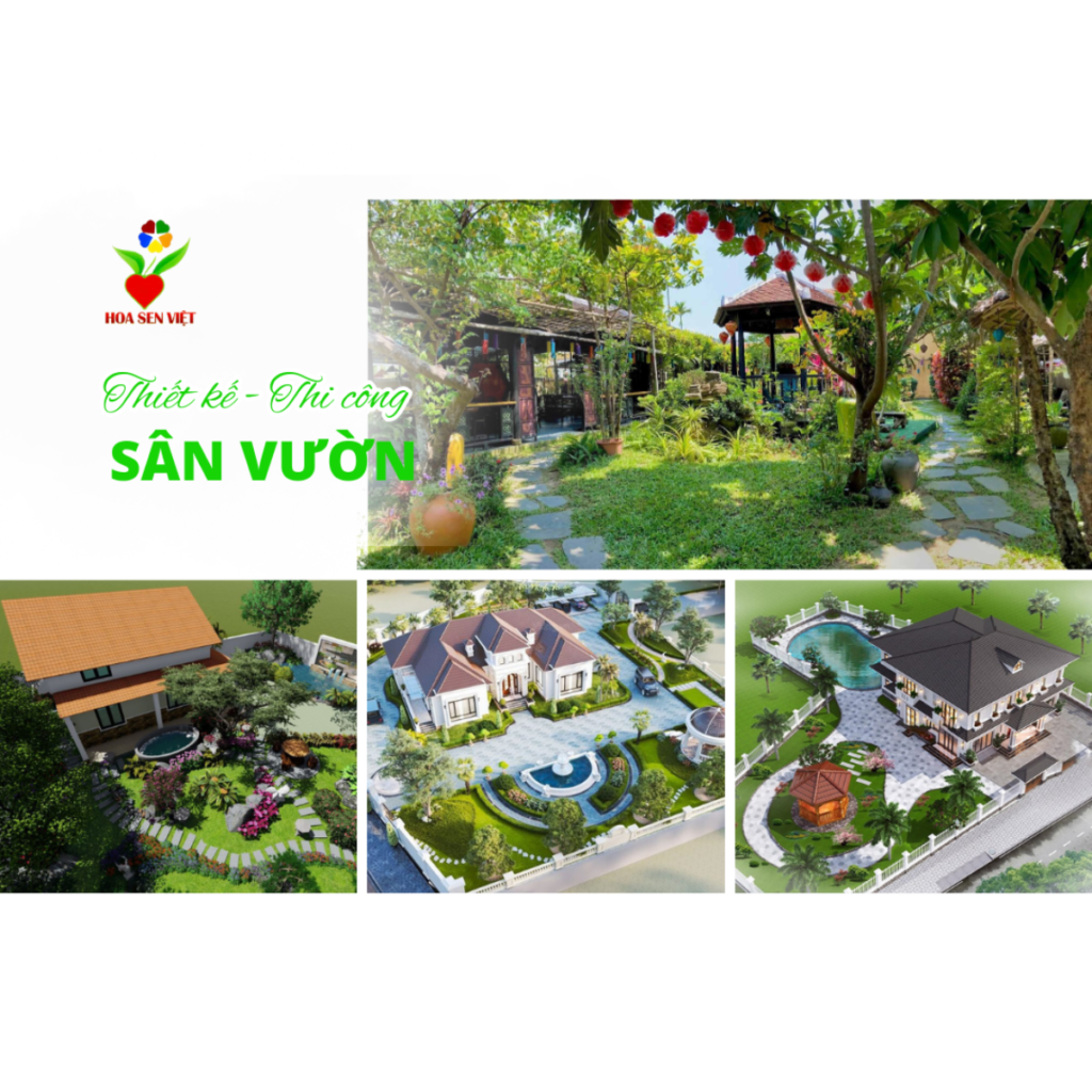 Cây Cảnh Đà Nẵng – Hoa Sen Việt