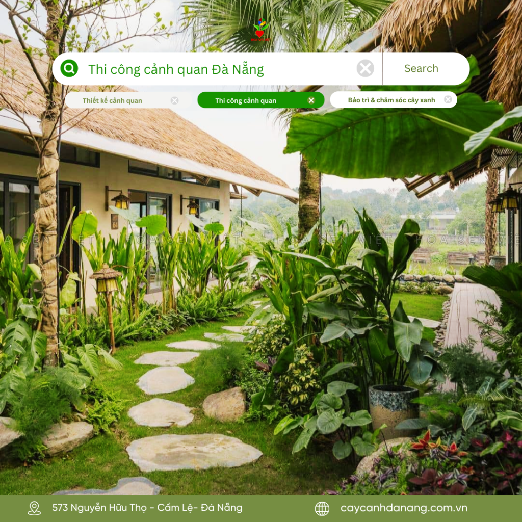 Cây Cảnh Đà Nẵng – Hoa Sen Việt