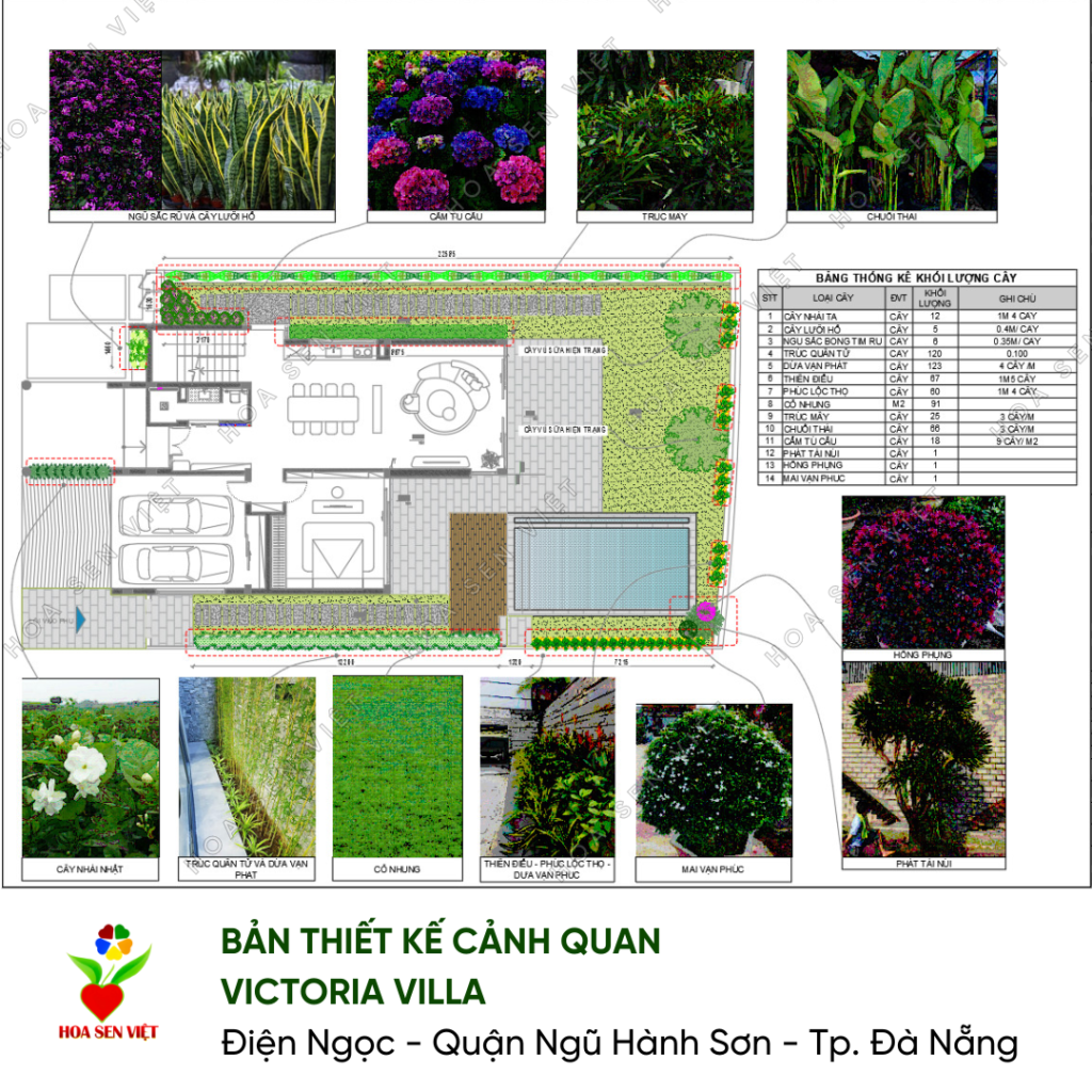 Cây Cảnh Đà Nẵng – Hoa Sen Việt