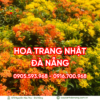 Hoa-trang-nhat (1)