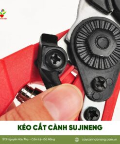 Keo Cat Canh Sujineng Da Nang 2