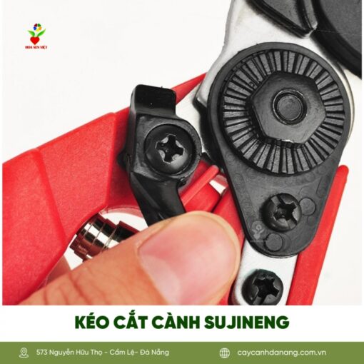 Keo Cat Canh Sujineng Da Nang 2