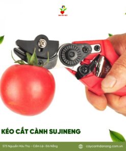 Keo Cat Canh Sujineng Da Nang