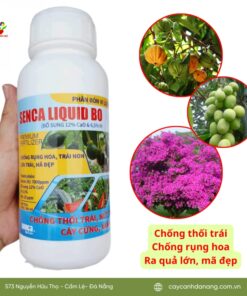 Phan Bon Senca Liquit Bo