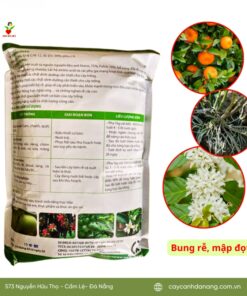 Phân Bón Hữu Cơ Bio K+