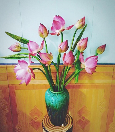 Bí quyết chọn mua và giữ hoa sen tươi lâu