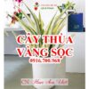 Cay Thua Vang Soc Da Nang