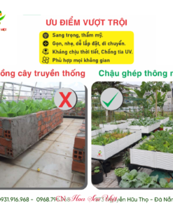 Chau Trong Rau Thong Minh Hoasenviet 3