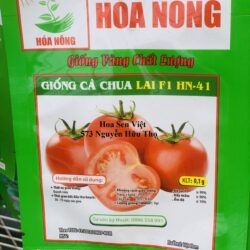 Giong Ca Chua Lai F1 Hn-41