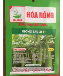 Hat Giong Bau Xi F1