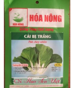 Hat Giong Cai Be Trang Da Nang