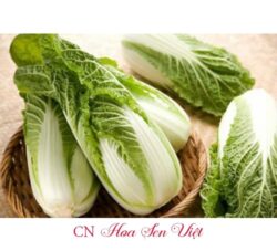 Hat Giong Cai Thao Chiu Nhiet F1 Hn-686 Da Nang
