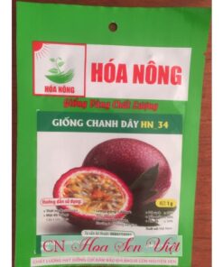 Hat Giong Chanh Day Hn-32