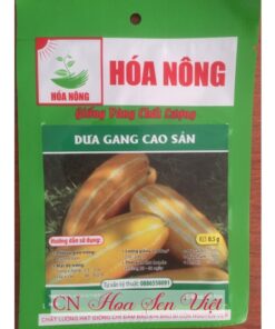 Hat Giong Dua Gang Cao San