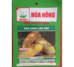 Hat Giong Dua Gang Cao San