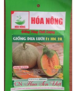 Hat Giong Dua Luoi F1 Hn-28